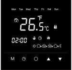 Терморегулятор WarmLife Black